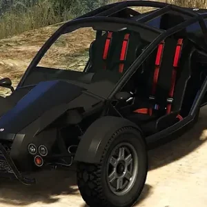Vagrant
